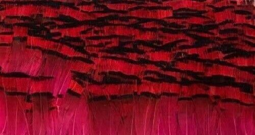 Golden Pheasant Tippet Super Selected Feathers Flu Pink 10 Pack Fly Tying