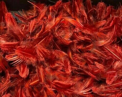 Golden Pheasant Breast Feathers Dyed 2g DURHAM RANGER TRADE 5 PACKS
