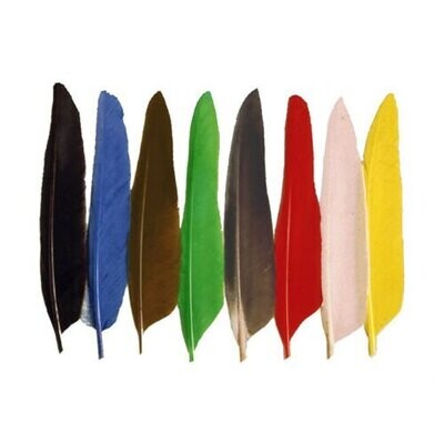 Duck Quills Dyed Pack of 10 TRADE 5 PACKS DURHAM RANGER