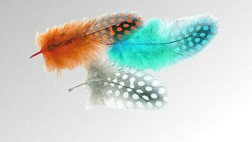 Guinea Fowl Plumage Mixed Hackles DURHAM RANGER TRADE 5 PACKS  Fly Tying