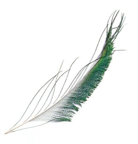 Peacock Sword Tails 2 Per Pack Various Colours DURHAM RANGER TRADE 5 PACKS