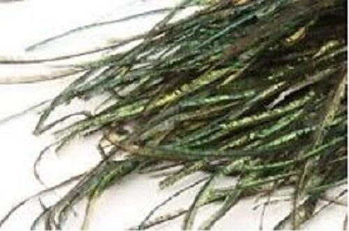 Peacock Herl Dyed Bulk 100G Various Colours Gordon Griffiths