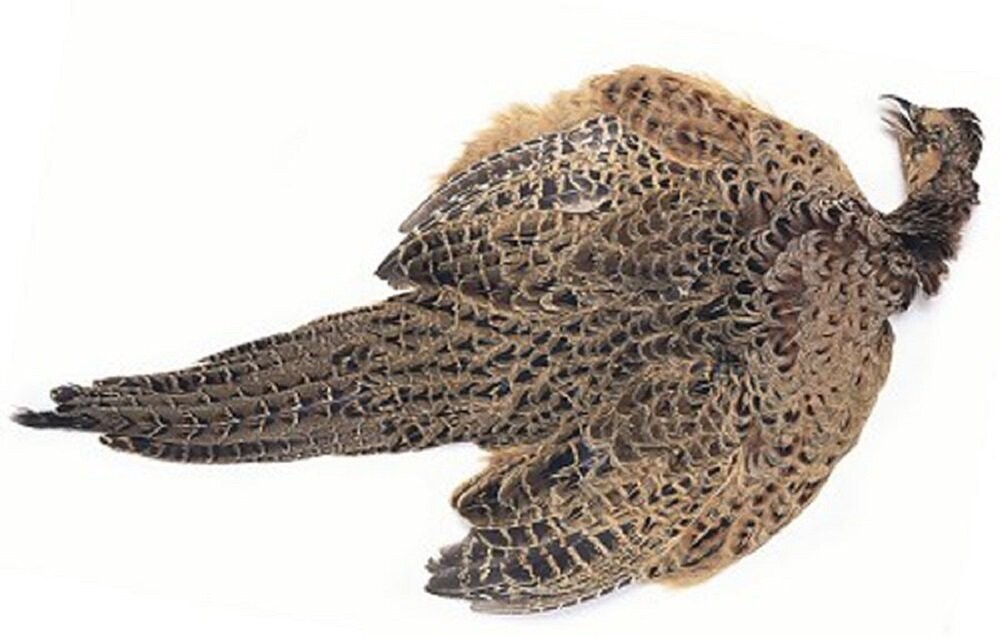 Hen Pheasant Whole Skin Fly Tying