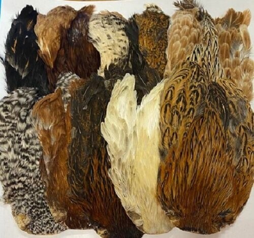 Hen Capes A Grade Various Colours 10 Pack