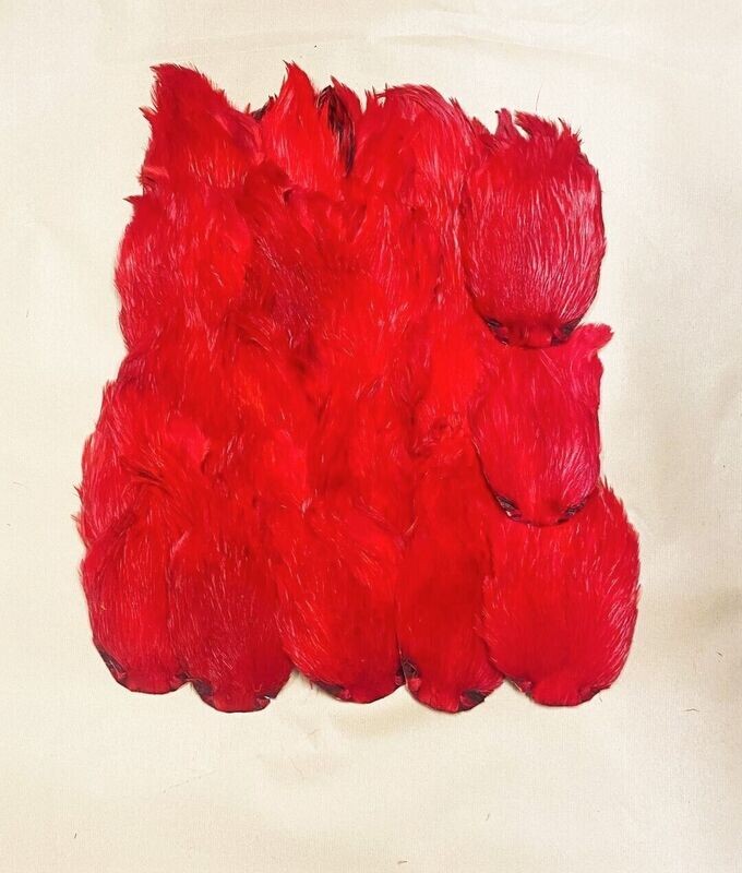 Indian Cock Cape Dyed  - Superb Quality - Flu Red  Gordon Griffiths