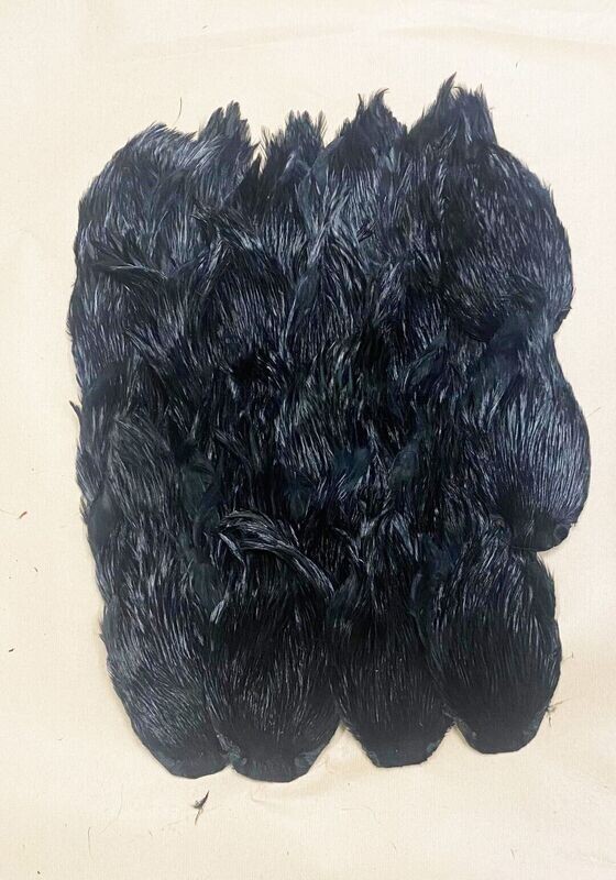 Indian Cock Cape Dyed  - Superb Quality - Black Gordon Griffiths