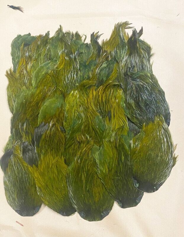 Indian Cock Cape Dyed - Superb Quality - Olive Gordon Griffiths