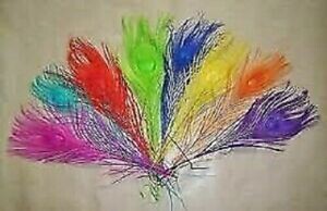 Gordon Griffiths Peacock Eye Bleached & Dyed Mixed Pack 5 Various Colours Gordon Griffiths Peacock Eye Bleached & Dyed Mixed Pack 5 Various Colours