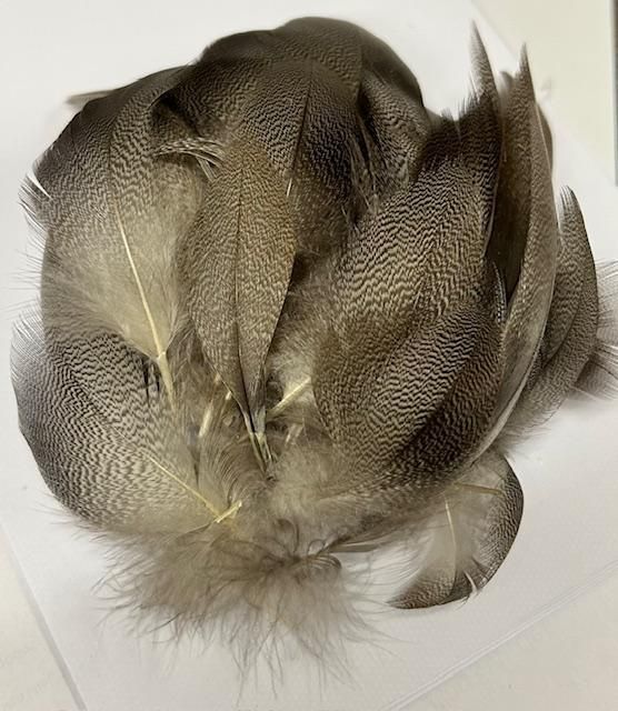 Bronze Mallard Feathers 50 Mixed Large, Medium And Small For Fly Tying