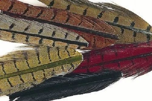 Large Pheasant Ring Neck Centre Pieces Mixed Pack of 6 Colours Gordon Griffiths