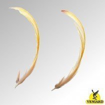 VENIARD GOLDEN PHEASANT TOPPING FEATHERS MEDIUM (GPCM)