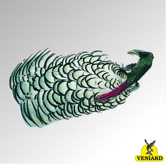 AMHERST PHEASANT HEAD COMPLETE NO 1  (APH1) VENIARD