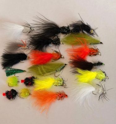Flies