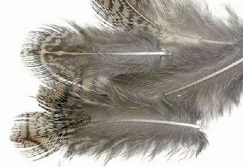 Veniard Fly Tying English Partridge Brown Back Bulk 1g packet