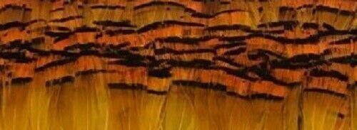 Golden Pheasant Tippet Super Selected Feathers Sunburst Yellow 50 Pack Fly Tying Golden Pheasant Tippet Super Selected Feathers Sunburst Yellow 50 Pack Fly Tying