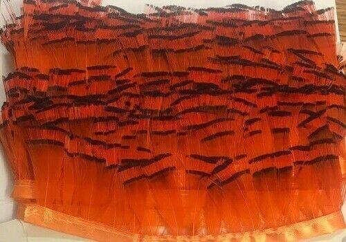 Golden Pheasant Tippet Super Selected Feathers Orange 50 Pack Fly Tying