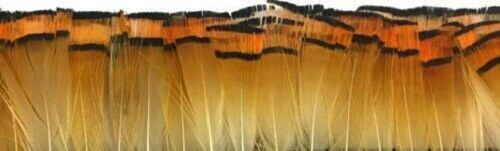 Golden Pheasant Tippet Super Selected Feathers Natural 50 Pack Fly Tying Golden Pheasant Tippet Super Selected Feathers Natural 50 Pack Fly Tying