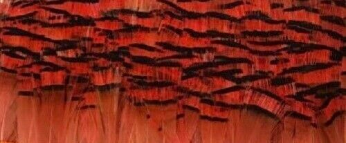 Golden Pheasant Tippet Super Selected Feathers Coral 50 Pack Fly Tying