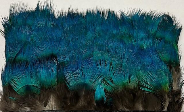 Blue Peacock Neck Feathers Super Selected 15 Large