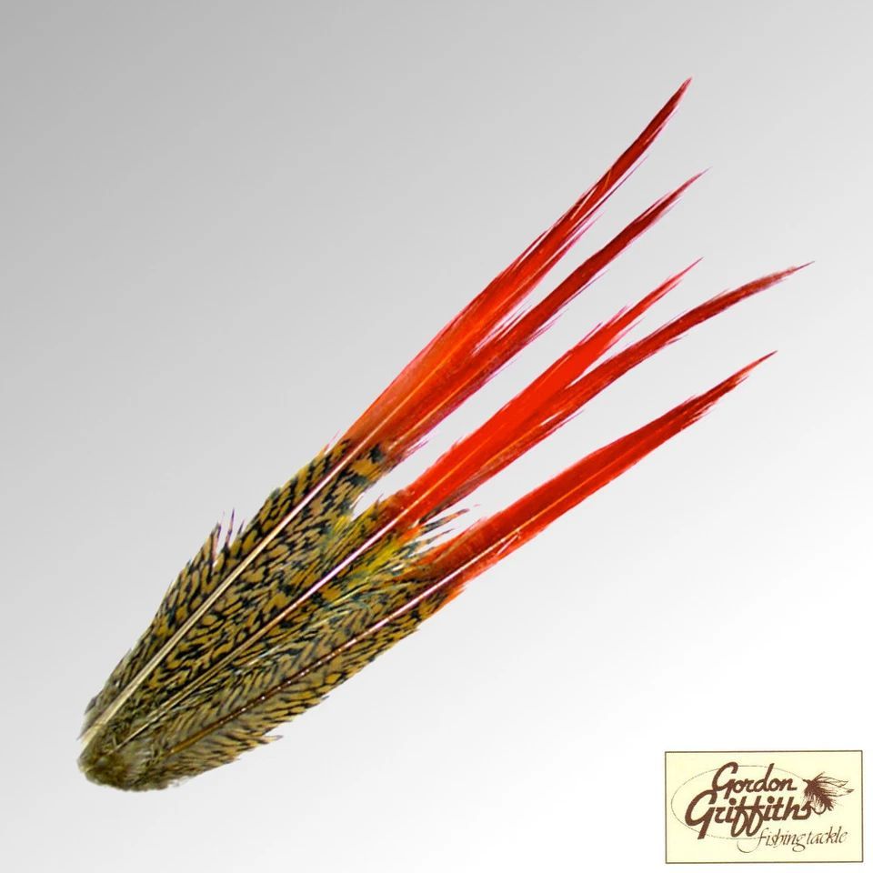 Golden Pheasant Red Spears - Medium Gordon Griffiths
