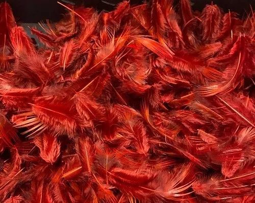 Dyed Golden Pheasant Breast Feathers Various Colours Approx 2g Gordon Griffiths