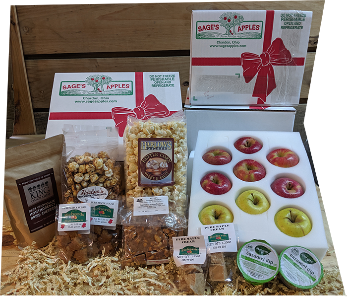 Deluxe Snack Fruit Box