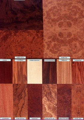 TIMBER SPECIE LIBRARY more photos coming soon