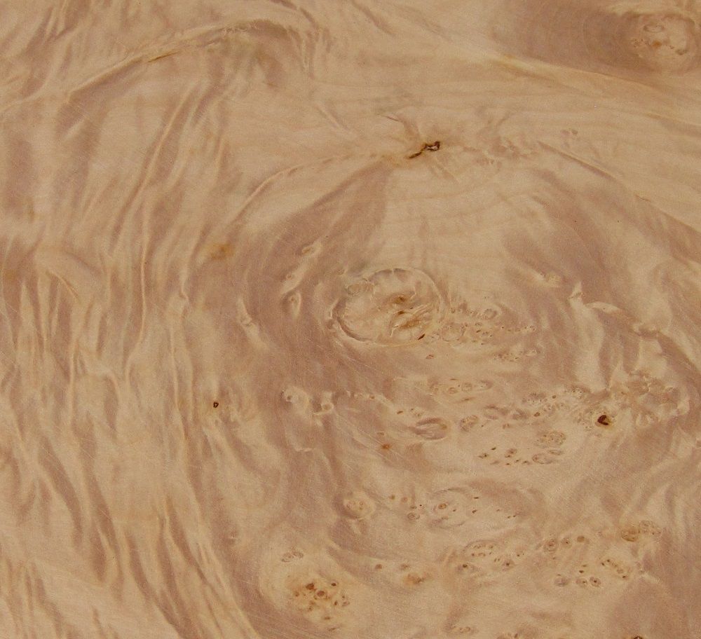 Maple burr angel step figured samples lacquered finish. Solid timber and veneer IN STOCK FOR COMMISSIONS Maple burr angel step figured samples lacquered finish. Solid timber and veneer IN STOCK FOR COMMISSIONS