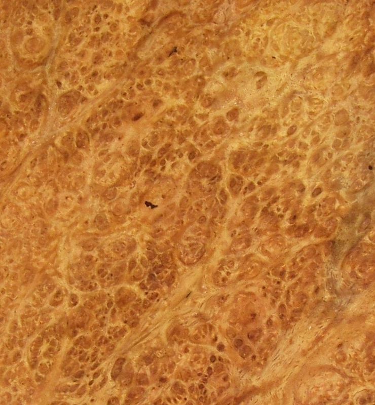 Amboina burr(brighter, more sparse figure) samples lacquered finish. Solid timber and veneer IN STOCK FOR COMMISSIONS Amboina burr(brighter, more sparse figure) samples lacquered finish. Solid timber and veneer IN STOCK FOR COMMISSIONS