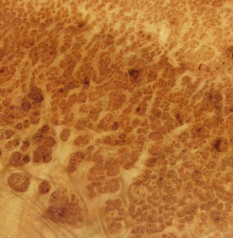 Camphor burr bright and heavy figure AAA quality samples lacquered finish. Solid timber and veneer IN STOCK FOR COMMISSIONS