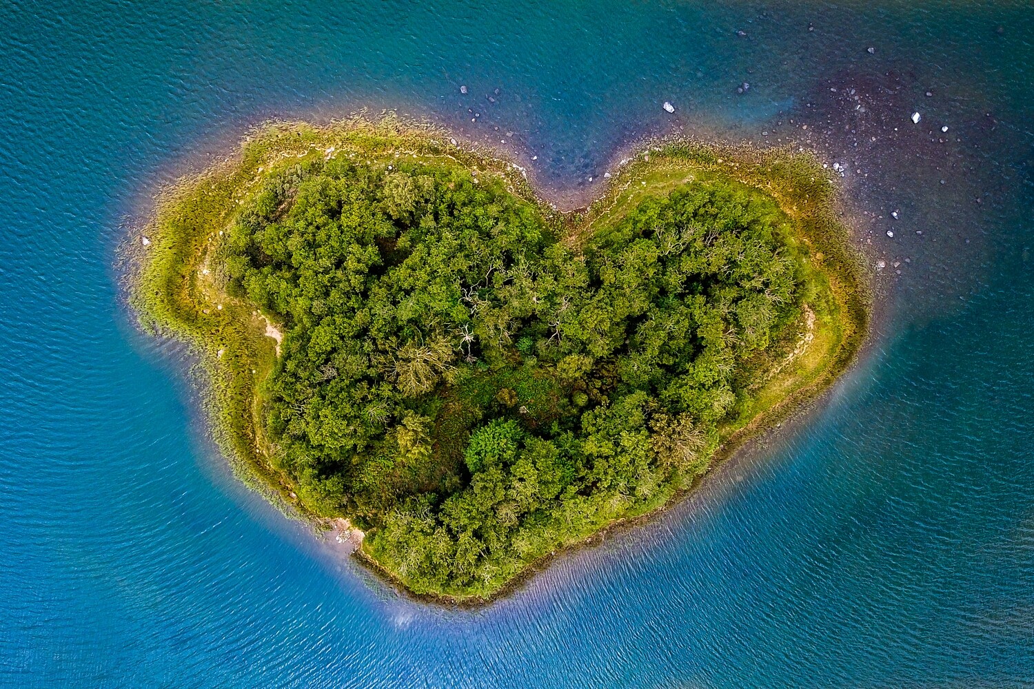 Island heart