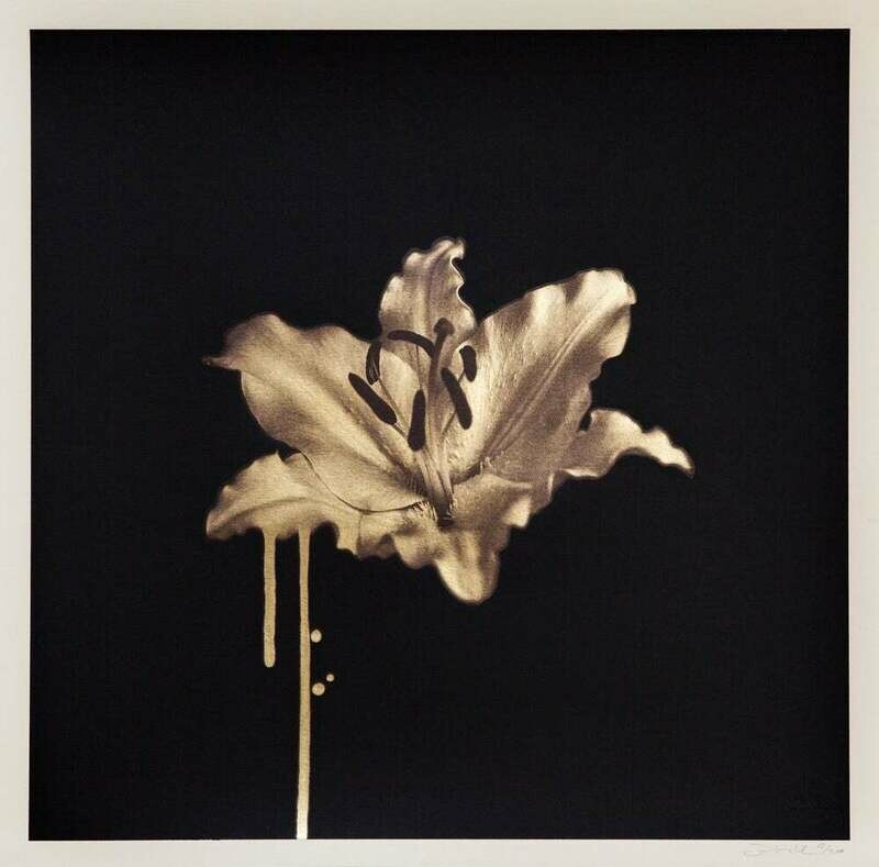 Donk - Gilded Lily (Gold)