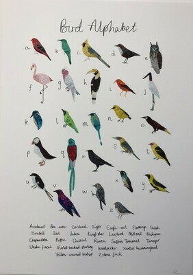Rhian Davie - Bird Alphabet
