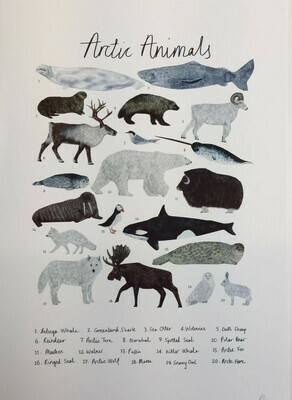 Rhian Davie - Arctic Animals