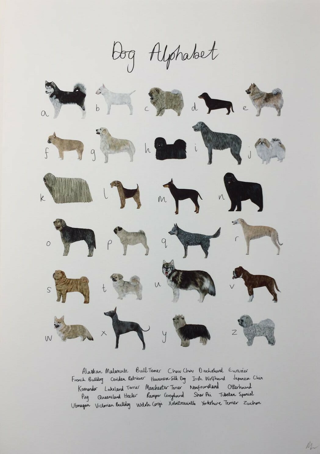 Rhian Davie - Dog Alphabet