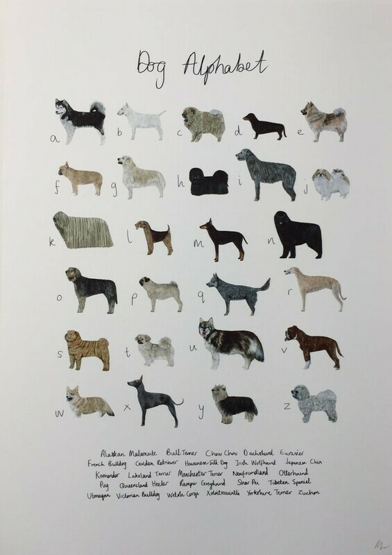 Rhian Davie - Dog Alphabet