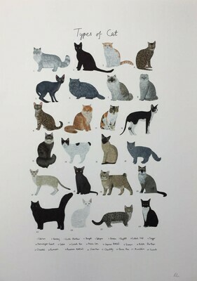 Rhian Davie - Types of Cat