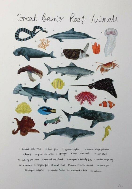 Rhian Davie - Great Barrier Reef
