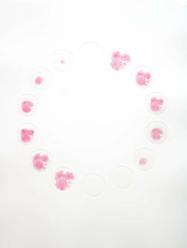 Emiko Aida - Spring Breath