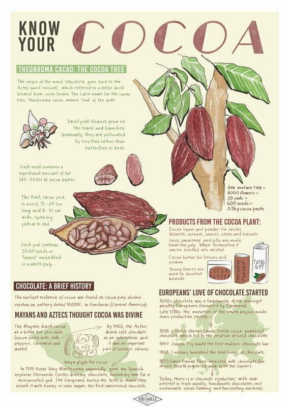 Rebecca Lea Williams - Know your Cocoa
