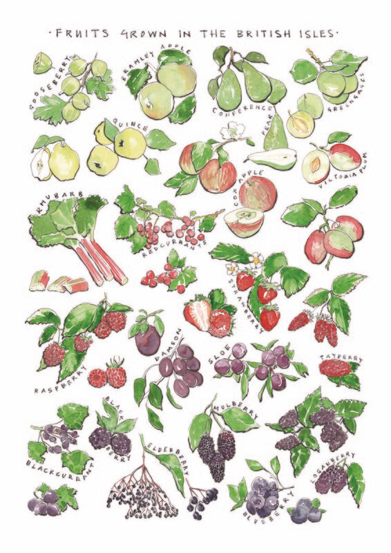 Rebecca Lea Williams - Fruit Grown In The British Isles