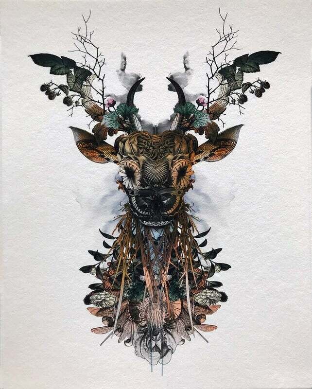 Not Now Nancy - Nature Of The Beast