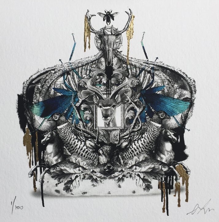 Not Now Nancy - Monarch II