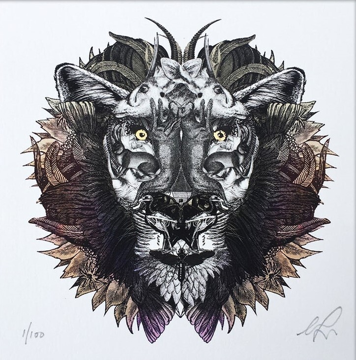 Not Now Nancy - King II