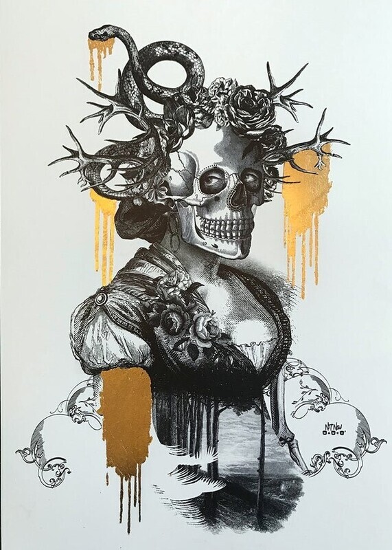 Not Now Nancy - Lady Of  The Dead II