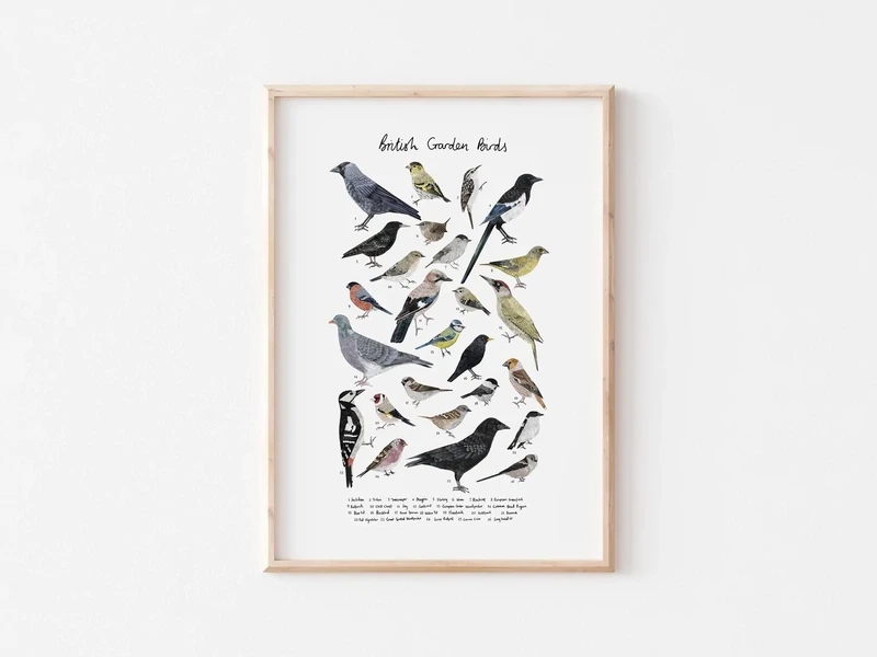 Rhian Davie - British Garden Birds
