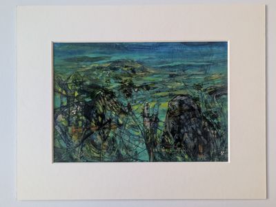 Mark Raggett - Evening Light, St Davids Heap