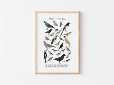 Rhian Davie - British Garden Birds