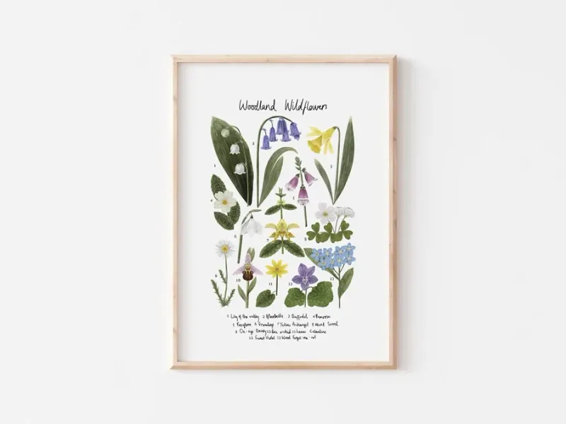 Rhian Davie - Woodland Wildflowers