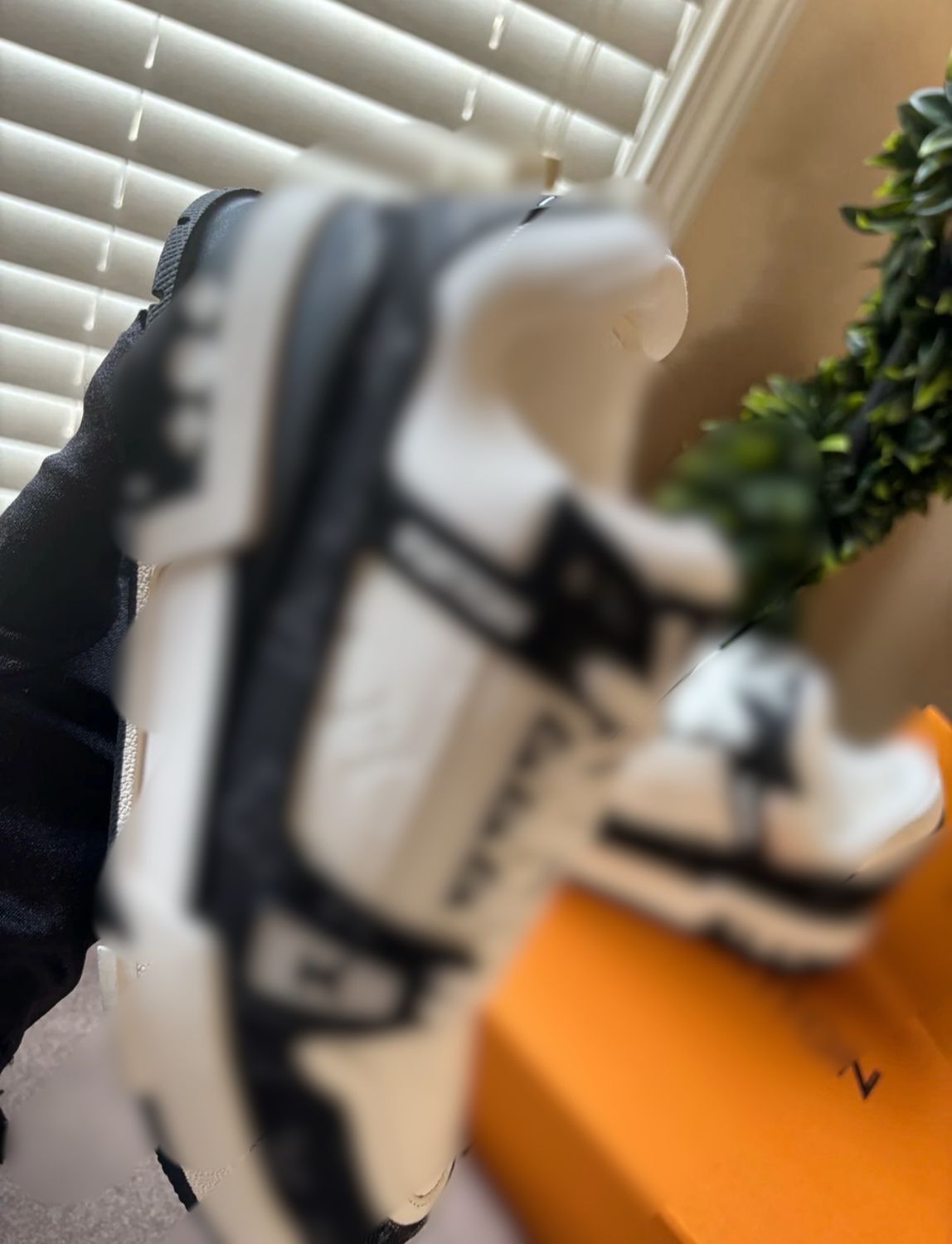 BLACK&amp;WHITE LV TRAINER